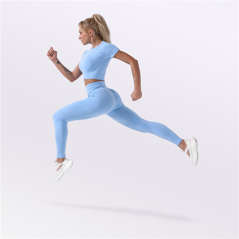 Factory New Design Seamless Fitness Crop Tops and Tight Pants Ladies 2 Pcs Seamless Sportswear Fit Activewear Set for Women