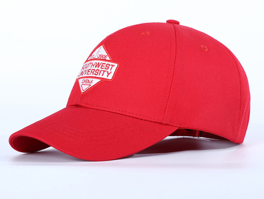 Custom Embroidery  Sport Hat Custom 3D Printing Embroidery Dad Hats Custom Logo Baseball Hat