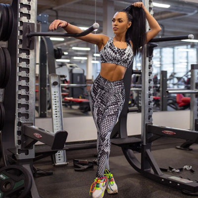 2022 Women Activewear Two Piece Set Leopard Yoga Legging Sets Snakeskin Clothing Workout Gym Fitness Sets for Women
