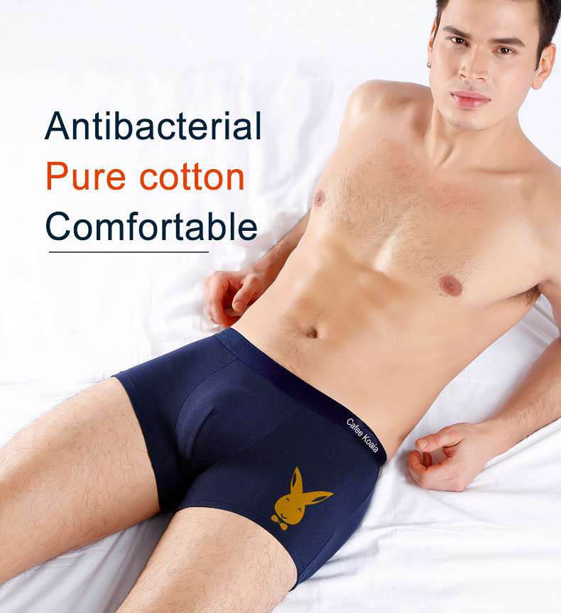 Sport Men Underwear 4 Pack Box Packing Cotton Mens Underwear Boxer Briefs