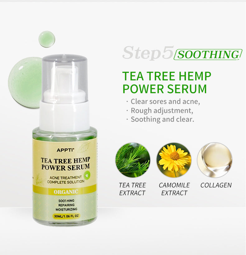 Green Tea Plant Extract Matcha Beauty Skin Care Set Personal Skin Care Kit Set Suit for Anti Acne