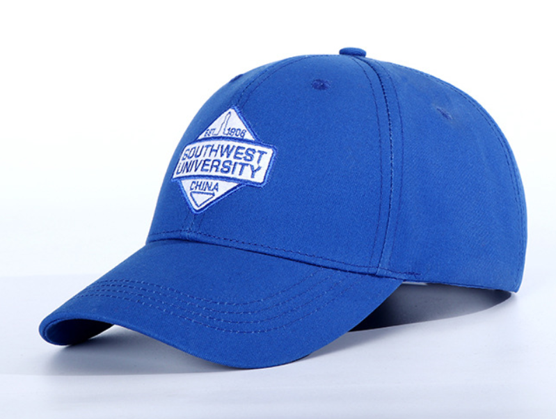 Custom Embroidery  Sport Hat Custom 3D Printing Embroidery Dad Hats Custom Logo Baseball Hat