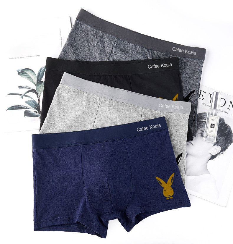 Sport Men Underwear 4 Pack Box Packing Cotton Mens Underwear Boxer Briefs