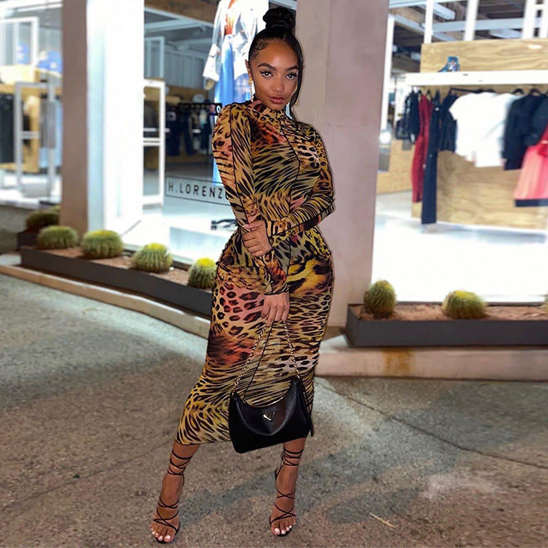 Fall Fashion New Long Sleeve Dresses Women Print Winter Dresses Turtleneck Women Clothing Dress