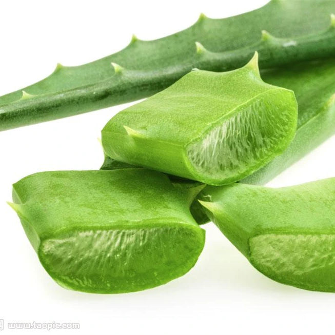 Skin Moisturizing Aloe Oil Skin Care 100% Natural Massage Base Oil Organic Aloe Vera Oil