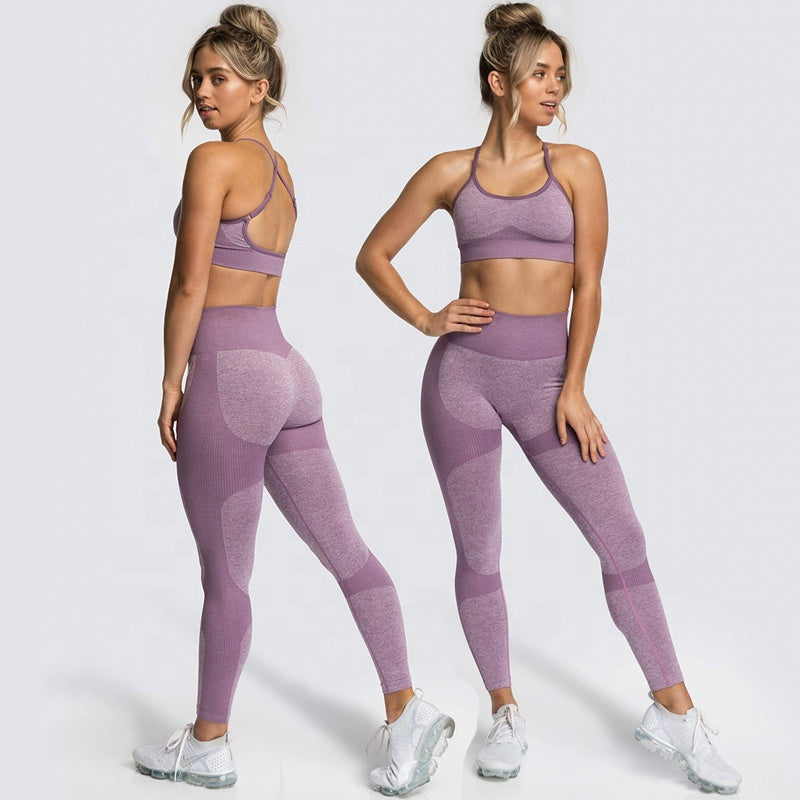 Women Seamless Activewear Fitness Gym Wear Sportswear Crop Top Leggings Yoga Bra Set
