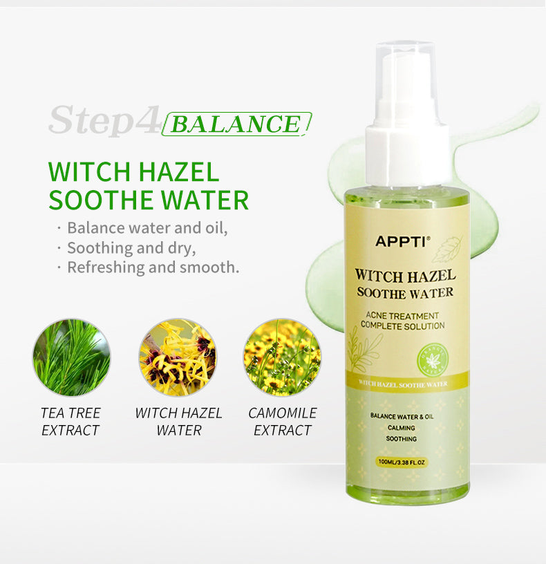 Green Tea Plant Extract Matcha Beauty Skin Care Set Personal Skin Care Kit Set Suit for Anti Acne