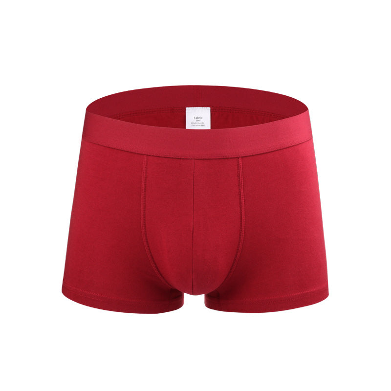 Wholesale Prices Mens Trunk Underwear Designers Boxers Men Underwear