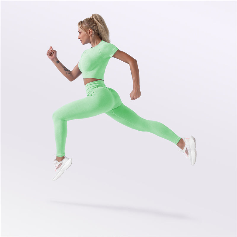 Factory New Design Seamless Fitness Crop Tops and Tight Pants Ladies  2 Pcs Seamless Sportswear Fit Activewear Set for Women