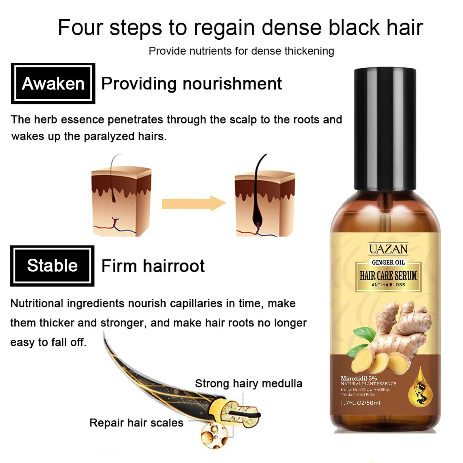 Wholesale 50ml UAZAN Organic Ginger Hair Care Serum Nourishing Scalp Repair Breakage Anti Hair Loss Ginger Hair Growth Oil