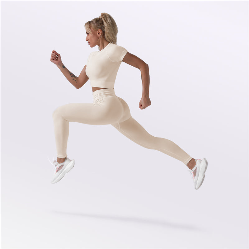 Factory New Design Seamless Fitness Crop Tops and Tight Pants Ladies  2 Pcs Seamless Sportswear Fit Activewear Set for Women