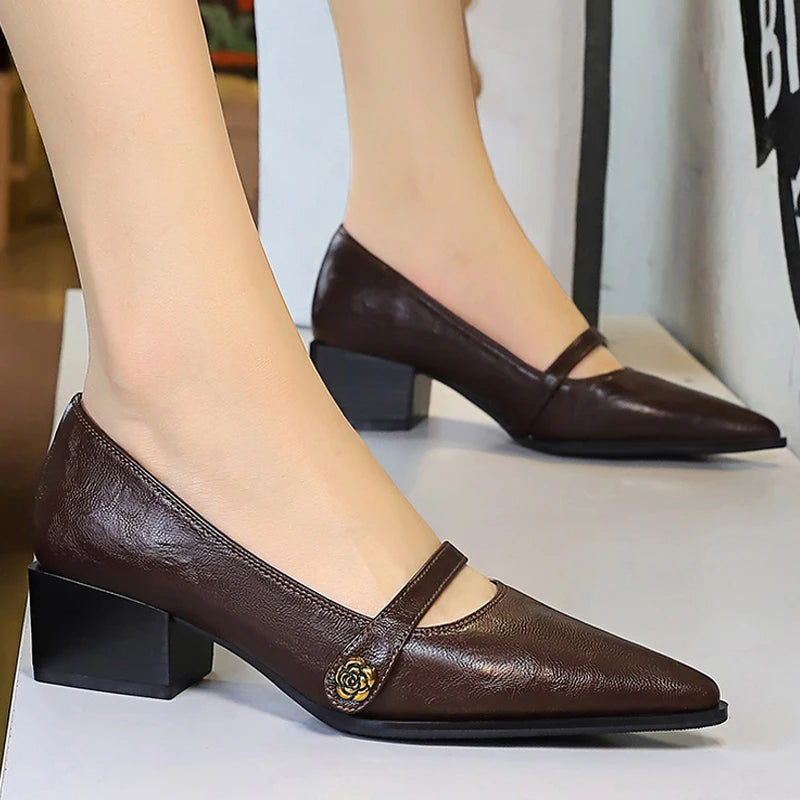 BIGTREE Shoes Retro Low Heeled Women's Shoes Sharp Pointed Mary Jane Shoes Temperament Party Shoes Women Heels Office Shoes 2025