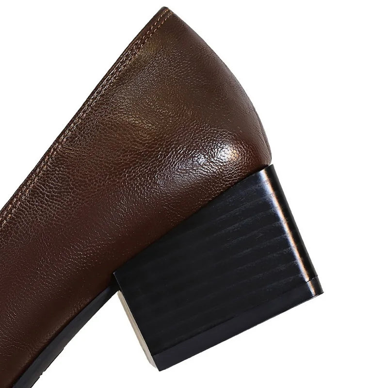 BIGTREE Shoes Retro Low Heeled Women's Shoes Sharp Pointed Mary Jane Shoes Temperament Party Shoes Women Heels Office Shoes 2025