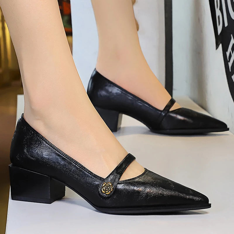 BIGTREE Shoes Retro Low Heeled Women's Shoes Sharp Pointed Mary Jane Shoes Temperament Party Shoes Women Heels Office Shoes 2025
